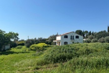 A big plot  with country see views